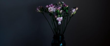 Цветок на черном фоне