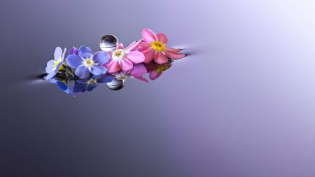 Цветы на сером фоне