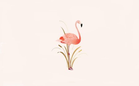 Какинарисовать фламинго