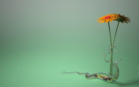 Гербера в вазе