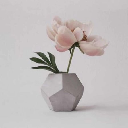 Минимализм цветы