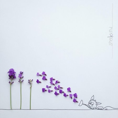 Минимализм цветы