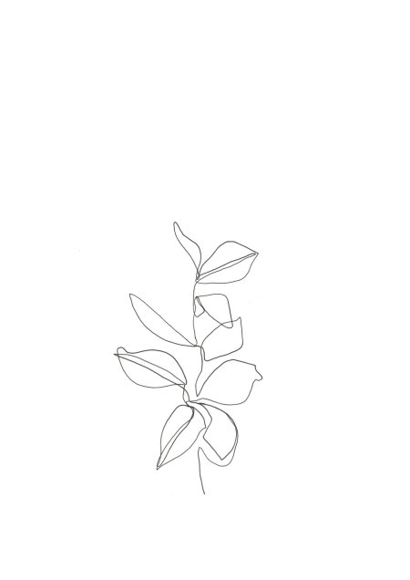 Растения одной линией