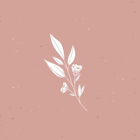 Цветок минимализм