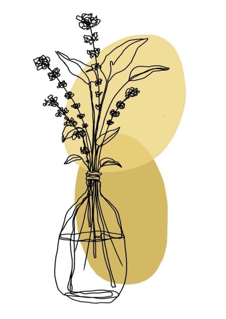 Иллюстрации цветов