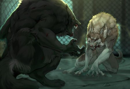 Вервольф волк