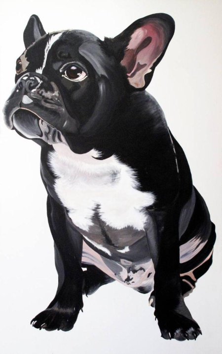 Французская бульдог