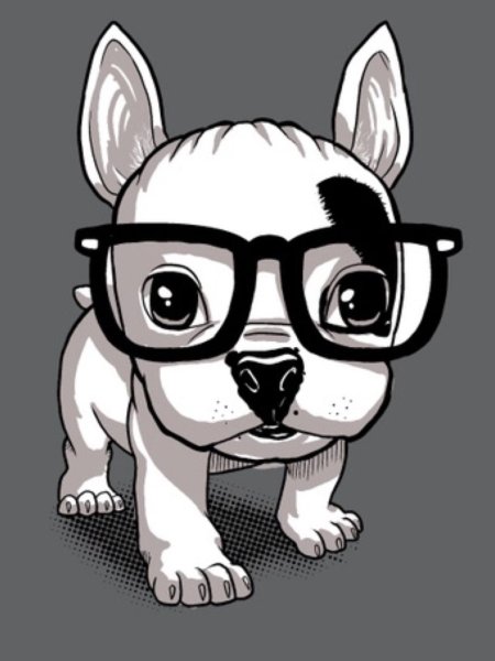 Раскраска французский бульдог