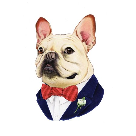 Французская бульдог