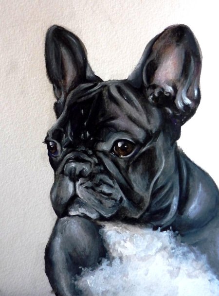 Французский бульдог