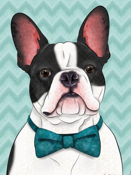 Бостонский терьер