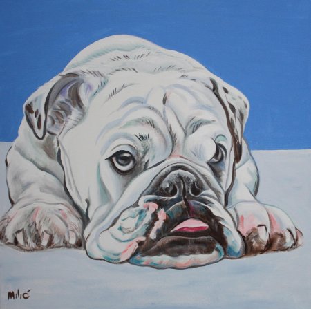 Грустный бульдог