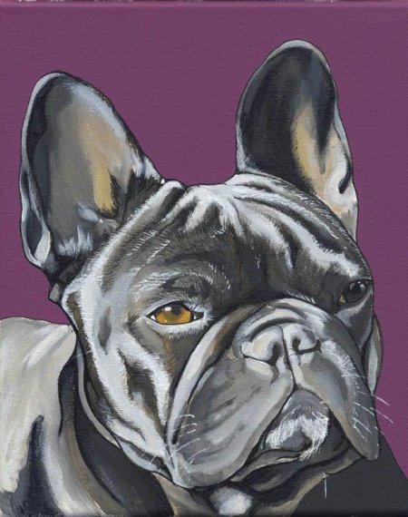 Французский бульдог