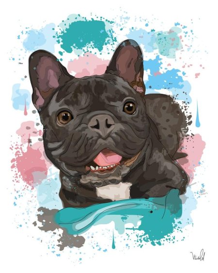 Собака французский бульдог