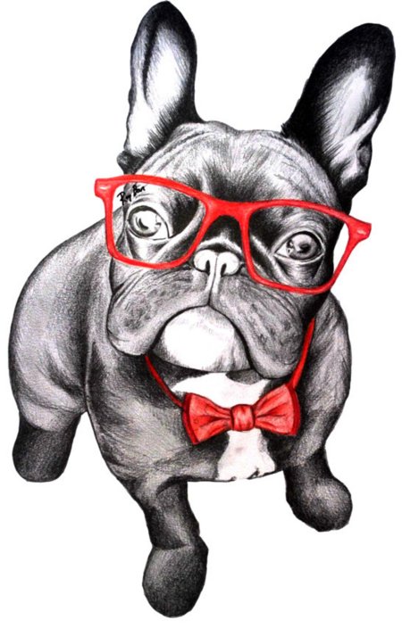 Собака в очках