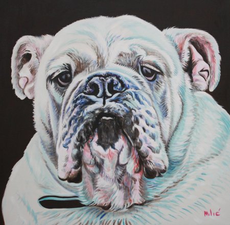 Старотипный бульдог