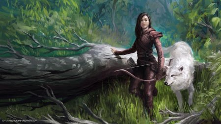 Лесные эльфы фаэруна