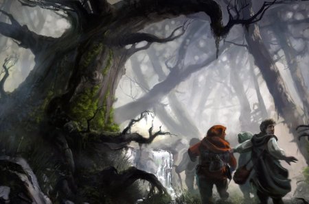 Лесной эльф монах днд