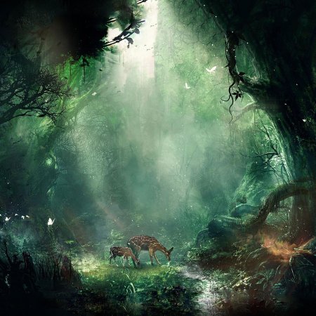 Джунгли фэнтези