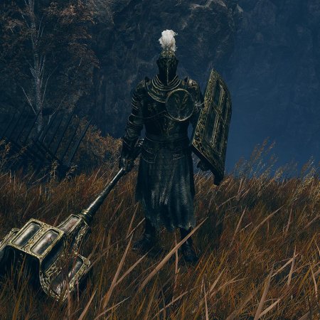 Элден ринг рыцарь годрика