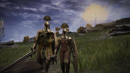 Рыцарь лейнделла