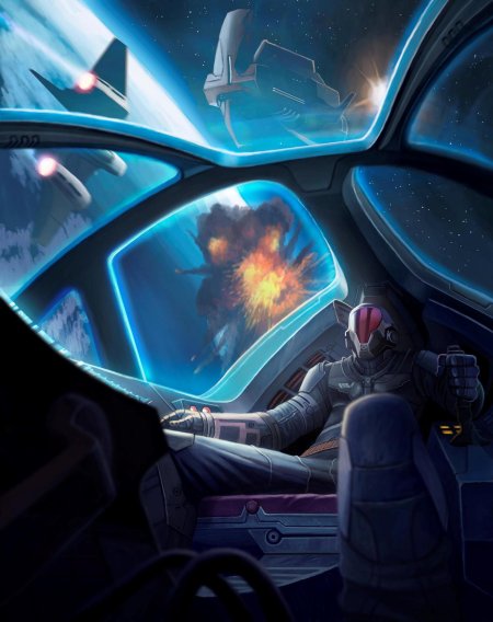 Пилот космического корабля