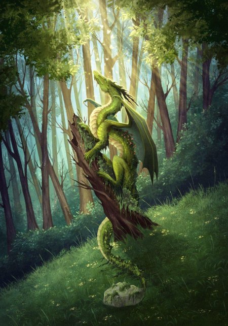 Брим зелёный дракон