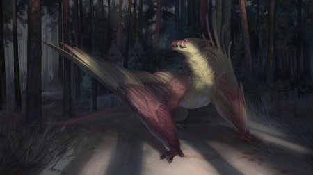 Дракон лесной новогвинейский