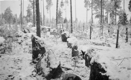 Советская финская война -