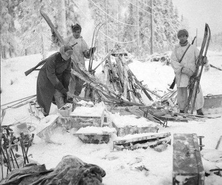 История развития лыжного спорта