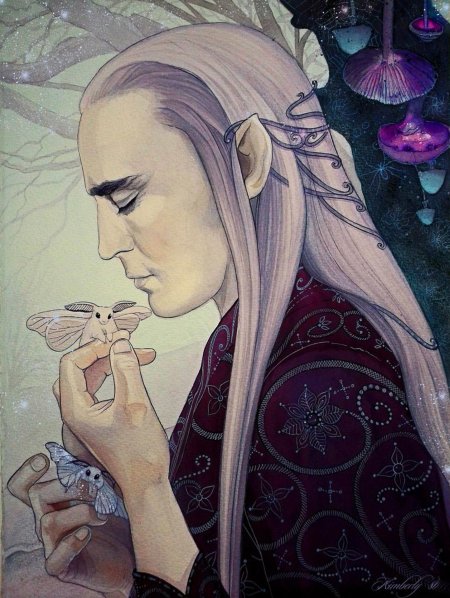 Kimberly трандуил