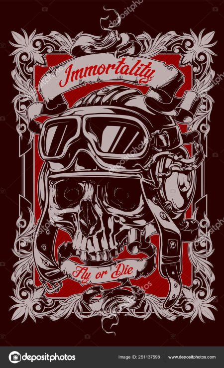 Череп в шлеме