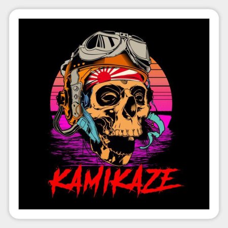 Kamikaze pilot