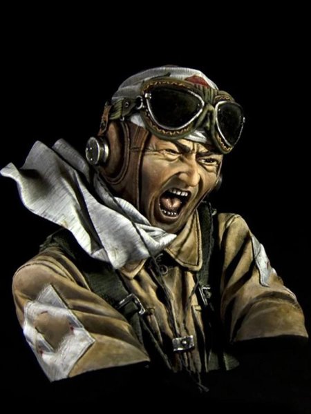 Пилот камикадзе