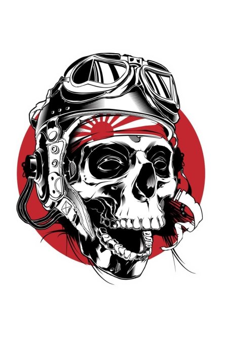 Пилот камикадзе арт