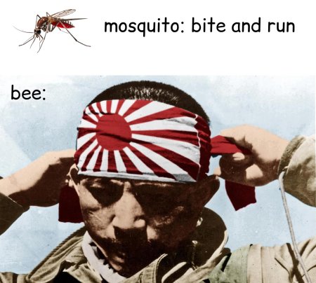 Император японии камикадзе