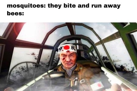 Камикадзе мем