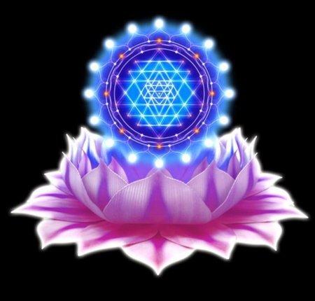 Тысячелепестковый лотос сахасрара