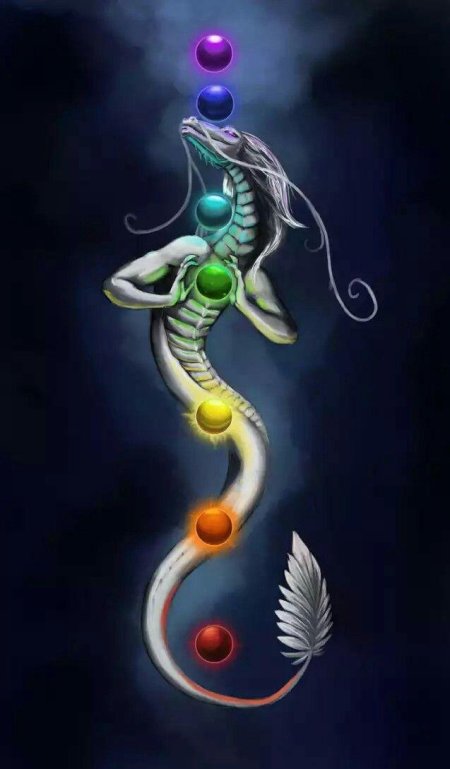 Кундалини змея чакры