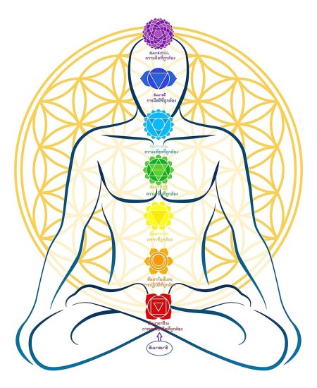 Чакры женщины