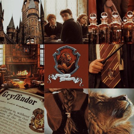 Гарри поттер эстетика гриффиндора