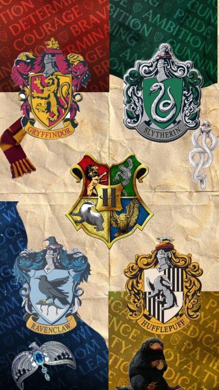 Гарри поттер слизерин гриффиндор когтевран