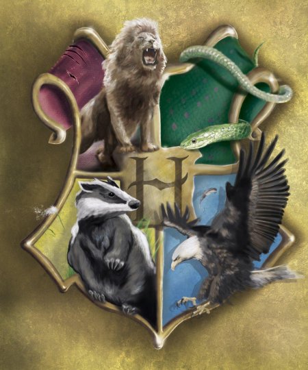 Гарри поттер слизерин гриффиндор когтевран пуффендуй