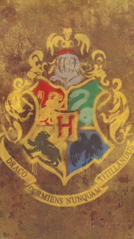 Гарри поттер гриффиндор постер