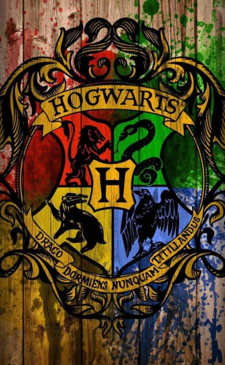 Гарри поттер гриффиндор