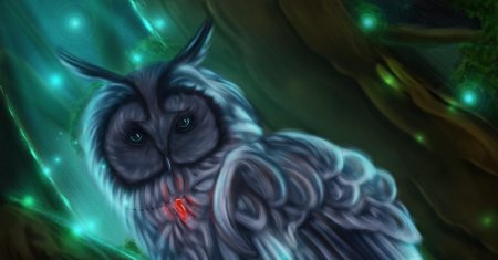 Сова фэнтези