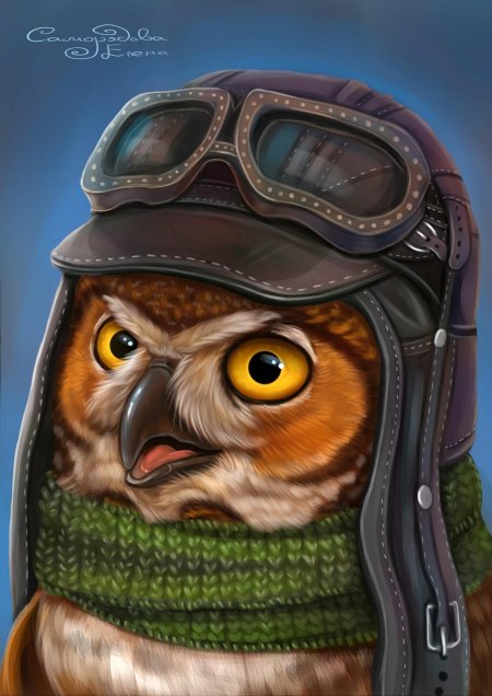 Елена саморядова совы