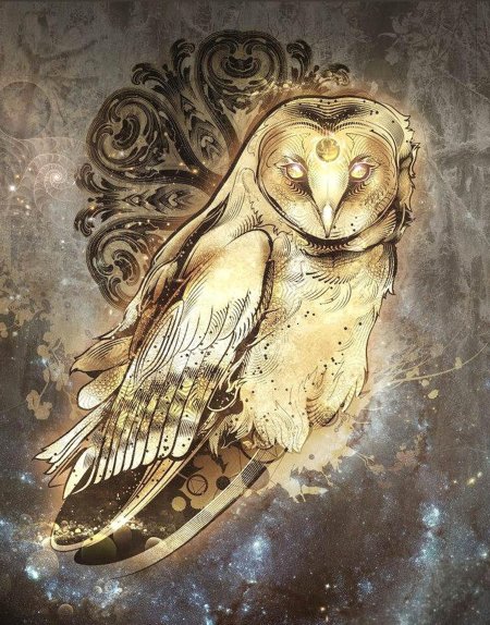 Сова сипуха тотем