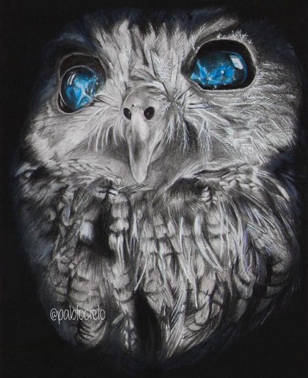Сова арт