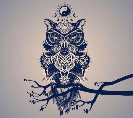 Сова тату